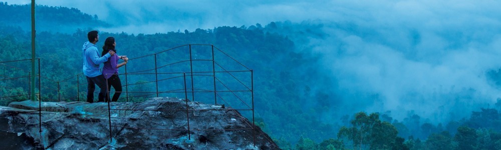 Honeymoon Packages in Wayanad