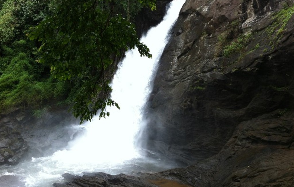 Soojipara Waterfalls in Wayanad